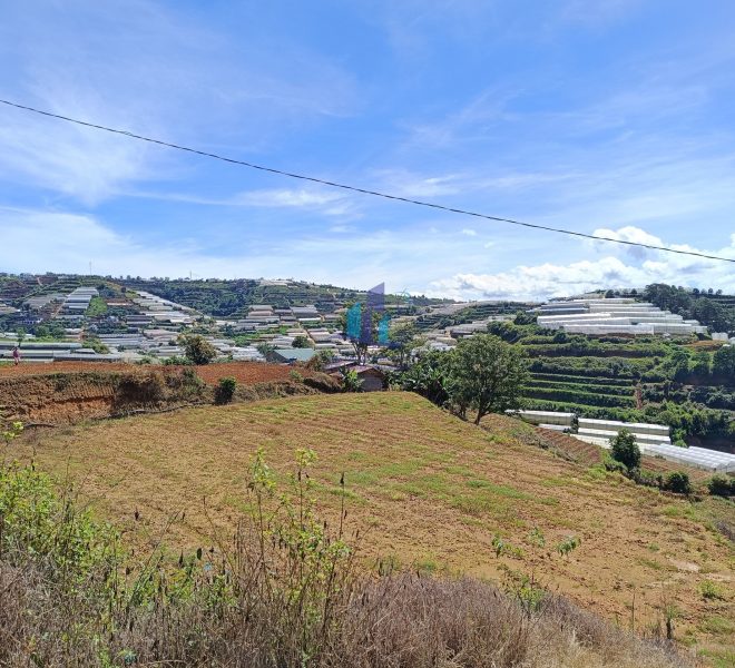 z4493410384372_bb945829effe224a02b69a3abf68ff2c