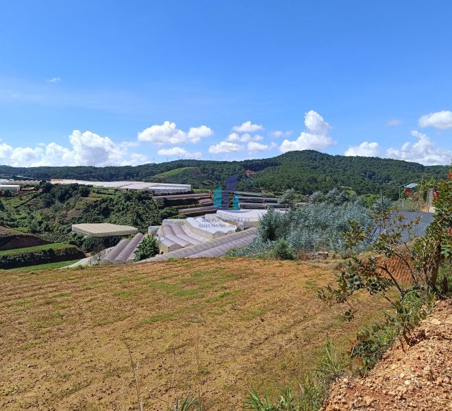 z4493410395045_cf79d3b98acdd53bbd8b87e3a8bc247c