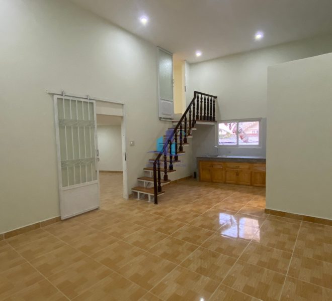 z4557893132592_243d118ac018ed32bde0bf08f44a77d6