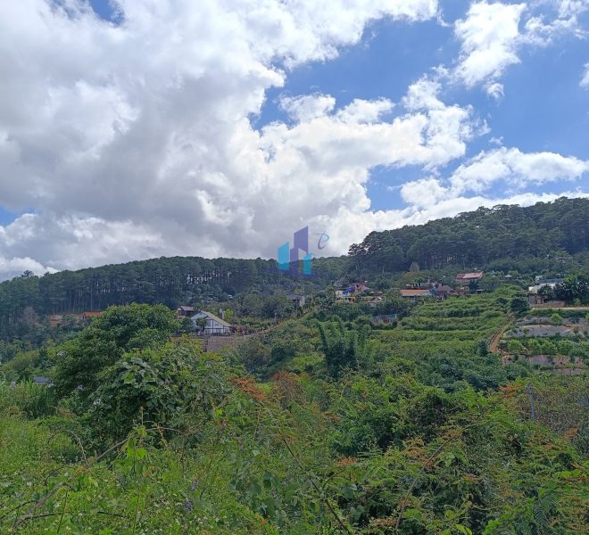 z4626286322876_6e7122c20a0364023a997505e24250b6