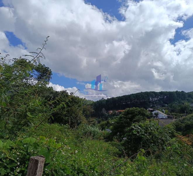 z4626286322943_8fa58325cda5c6fbc0468ea35ba0d97f