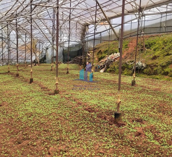 z4629391600990_9adf5db1faed1e201bcae934445dd639