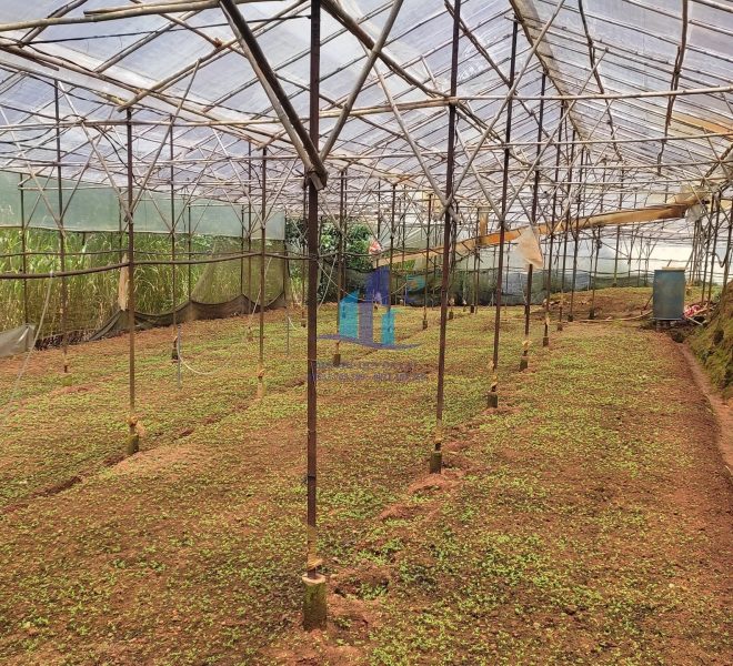 z4629391674675_c0b35e716d125ec7ef2e8c0d7625616d