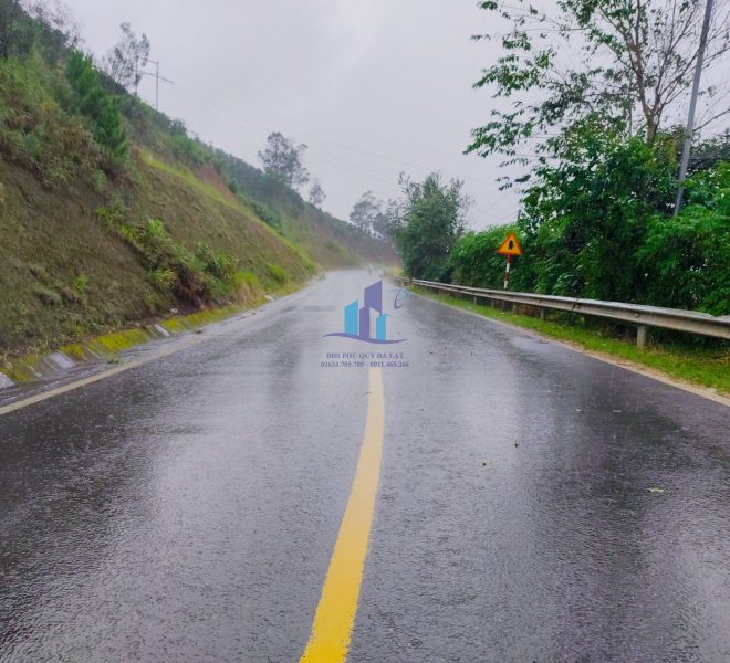 z4635551594003_740927542d170486d6866bf349e2d83c