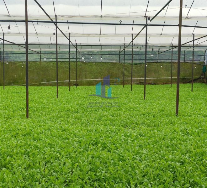 z4652908254376_7cf2d5aa4f5dc21da73e6e0d70e6e831