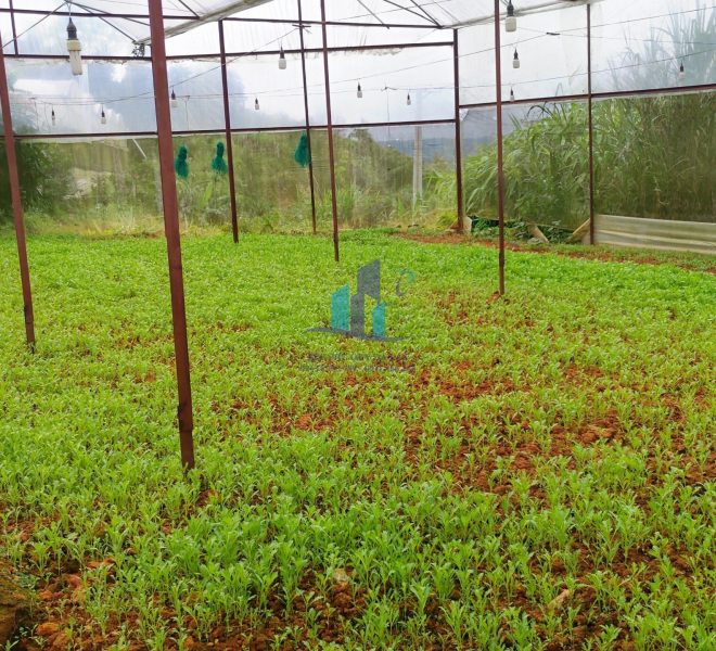 z4652908270629_045e077ff29a4ea09719aa69bf3b72a5