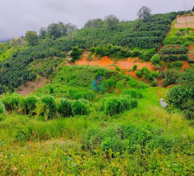 z4652939239354_55aa17b3b5a2bf91284a76054b8735d7