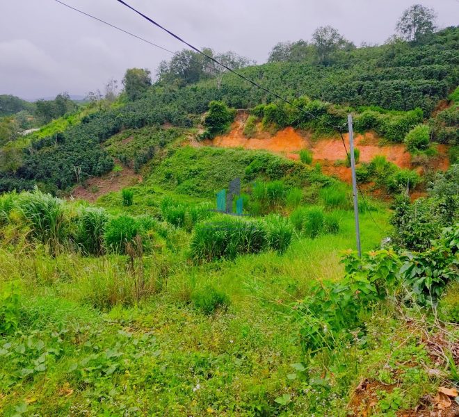 z4652939277099_caa3d2bfe054fac785de8d34218dca8a