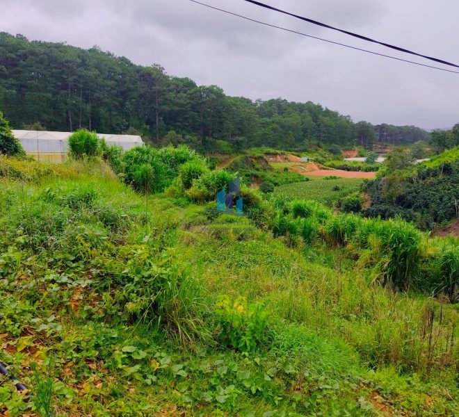 z4652939291810_9e4c151508619f12872724bd47ee9dbf