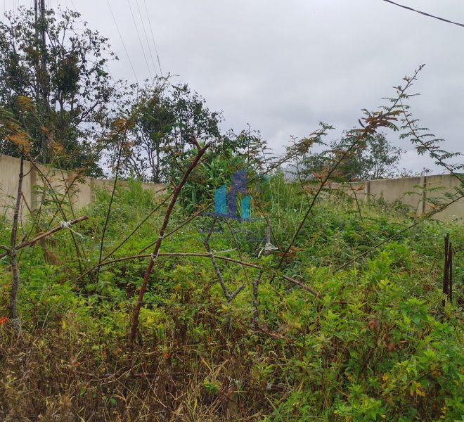 z4652943458976_86c941cf7fe6f83ed5b36ed6b854063c