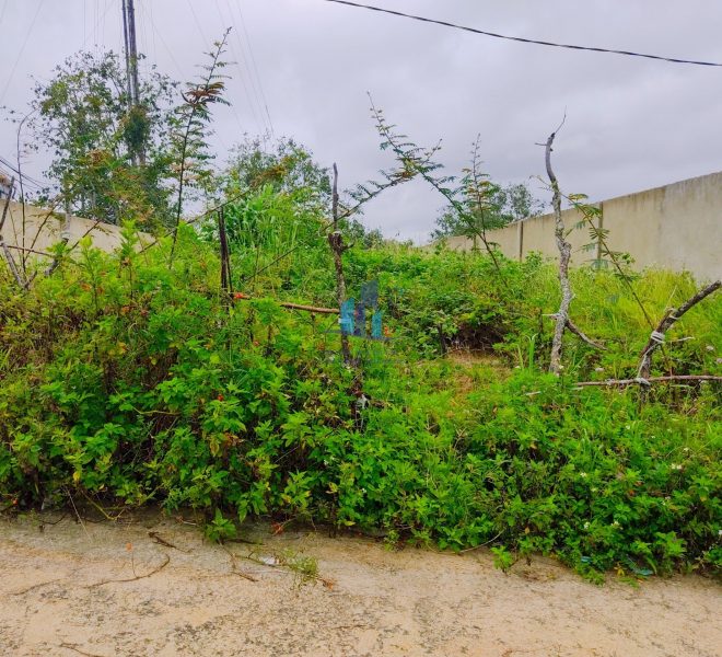 z4652943471629_0620db43d9753a9f760ef855819d36ac