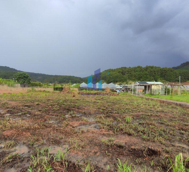 z4728623788036_1fbbb1eb099e0ebfbc1e44f966c0a39e