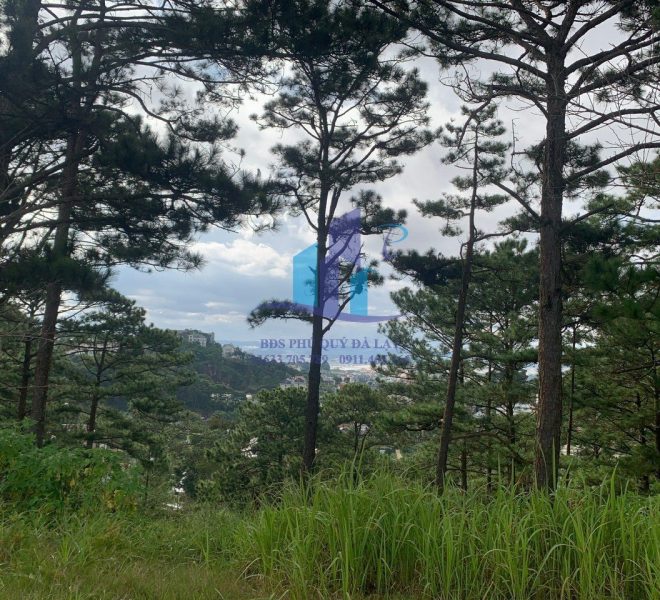 z4770924273594_9981586e822097866797e7383bc5503a