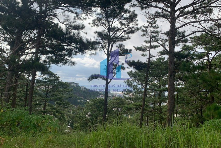 z4770924273594_9981586e822097866797e7383bc5503a