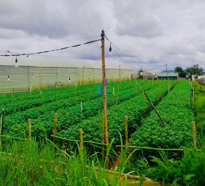 z4772421481729_44c438d96a01b62fd6aaa8e64c1d310e