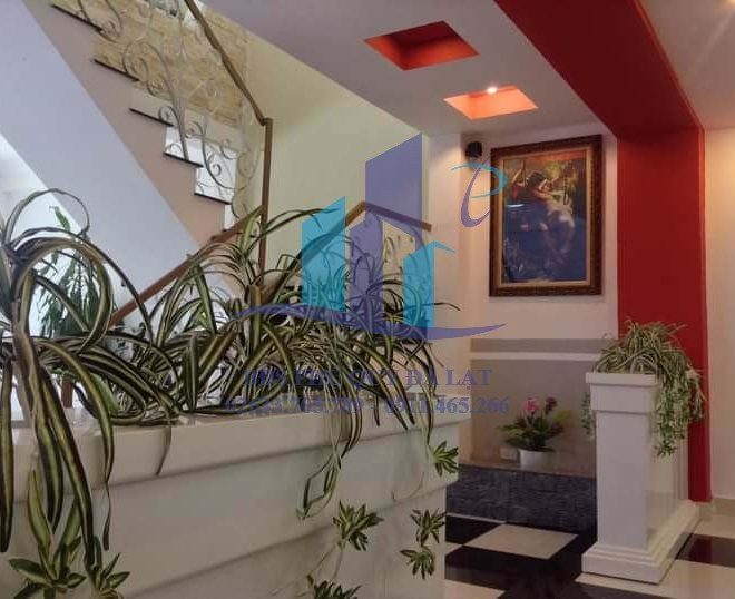 z4788872847271_7094854ae54fac79f0ff3dc87dfe7419