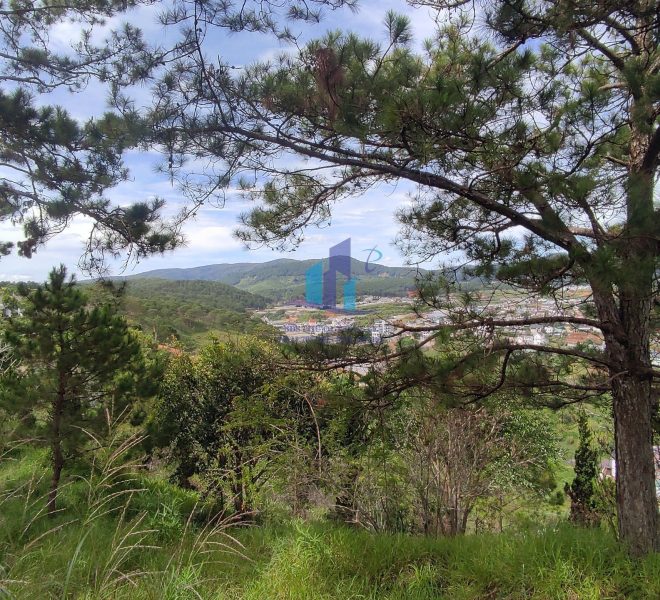 z4835523102334_cfb1192b4736b94319283b8b9de3b97f