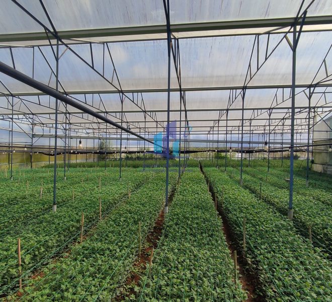 z4848413432708_a7ed1b491e4911c044f50fddcf0ca975