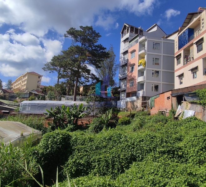 z4870667469593_a1767c6c929664b82a1b0156b52b1a48