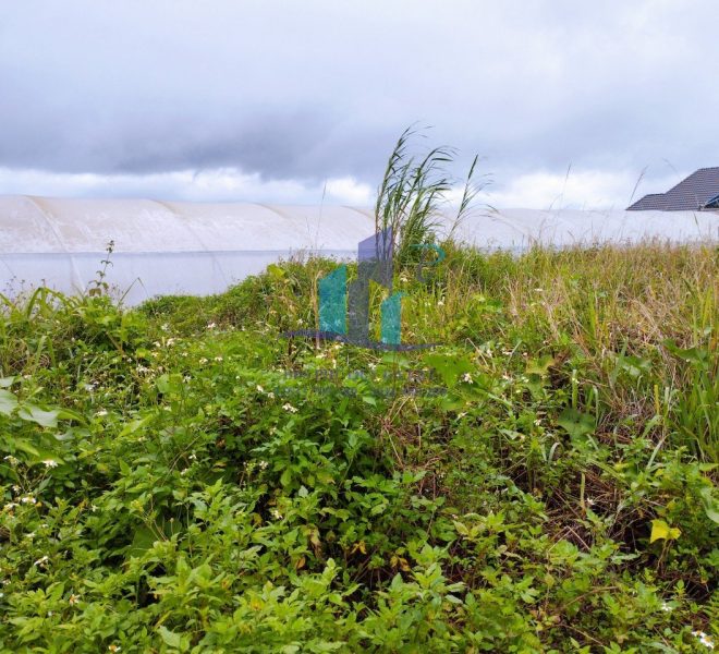 z4889630731036_50f6cb20bbb8236f02cc3b37345286ef