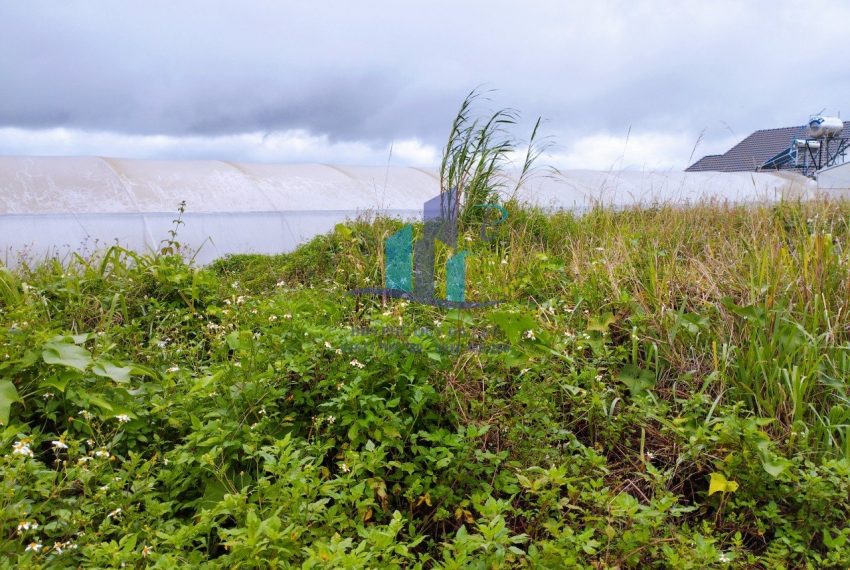 z4889630731036_50f6cb20bbb8236f02cc3b37345286ef