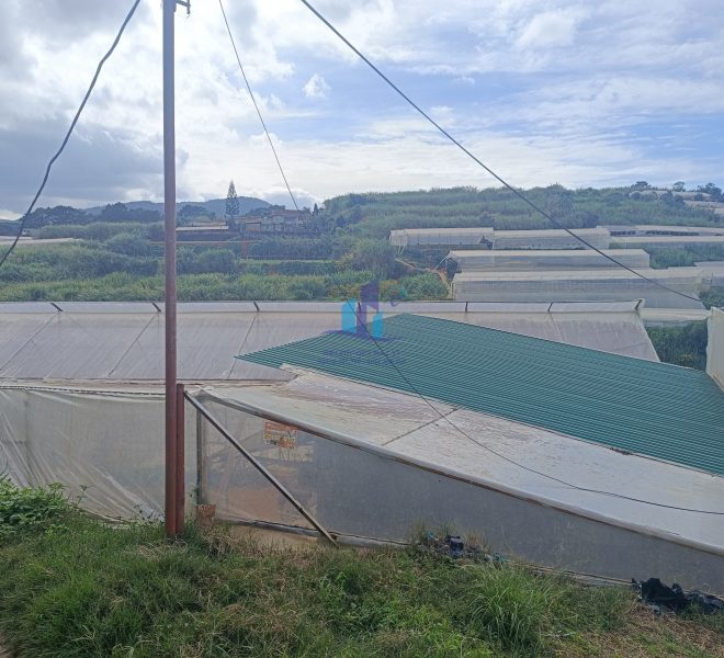 z4898530142484_6a2834aaa8d677e0af0f40ae21ee4b8e