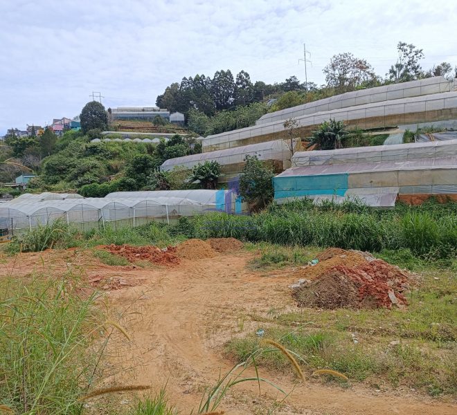 z4908337573292_3029e5d3054110035f68d983dcfcf0ed