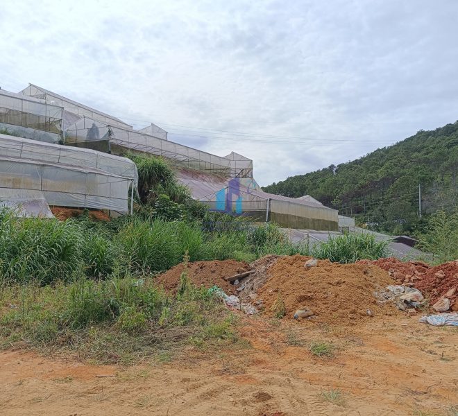 z4908337633382_37388dead9b1ff0c0531d127ecf8713c