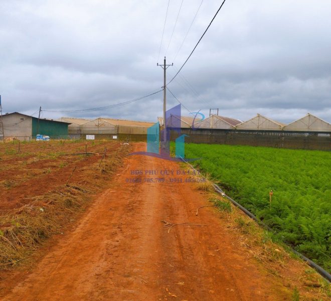 z4911565016040_1128ac4ade394edf2bb19e23e440e7fe