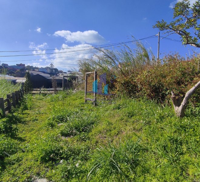 z4974106535978_83930dcc7ef6732e4378a5c116eec6e0