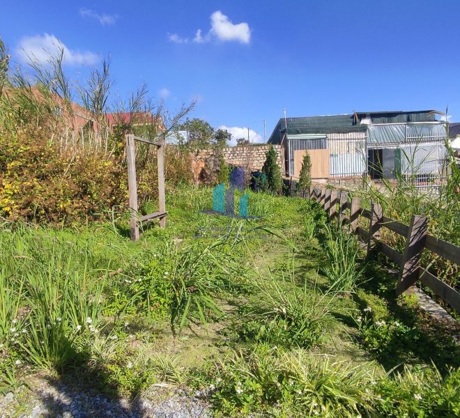 z4974106562540_30f1801fcc884833140a675ce84944de (1)