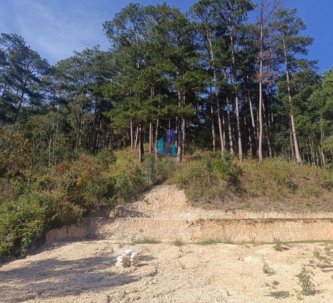 z4977436245698_321bc054d976748edb0001cde63728e1