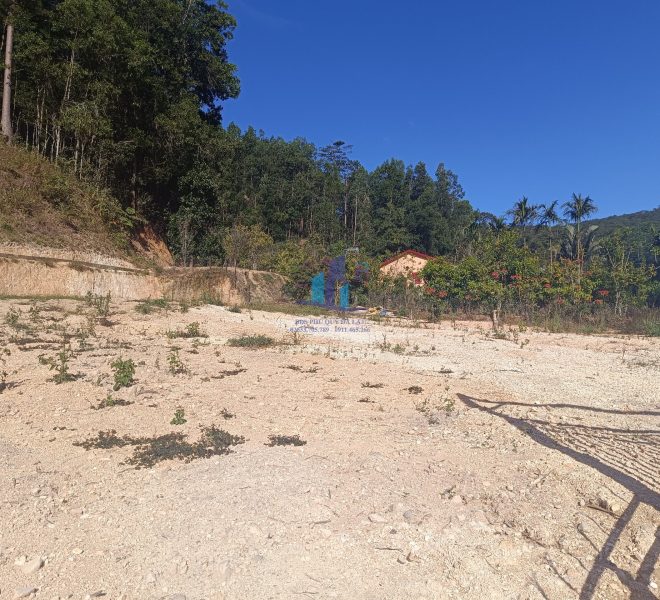 z4977436256410_0e60e40c6609ed40ccebb33a4c9e3dc5