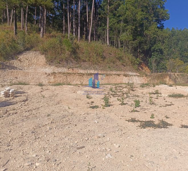 z4977436267256_bfcd643d281fde1c489b0b961e5b84a9