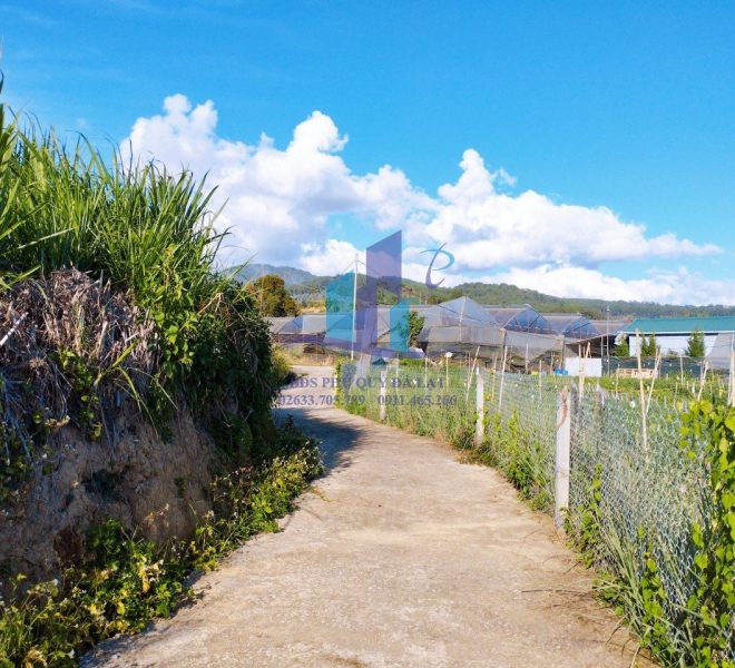 z4977440095456_93baf990e629ab1ee4537496c9eee595