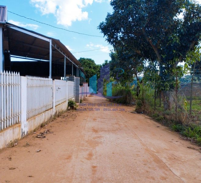 z4980483993153_157dd455959fac921a12b9e5cd23a6c5