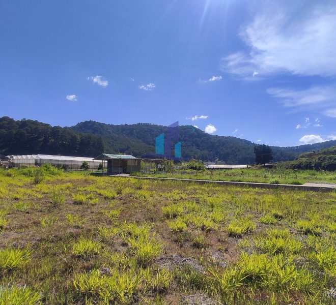 z4980506640534_51116106765effbefde50dc1b2f16db9