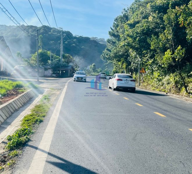 z4986281242680_c4014483dec050e08bc560c125d0473b