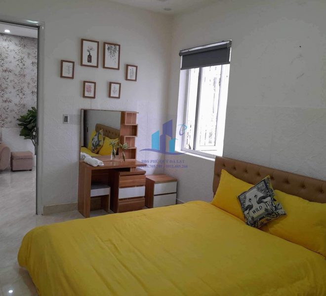 z4992960006600_02bda6e24c19c1a998905eb7d8b4075c