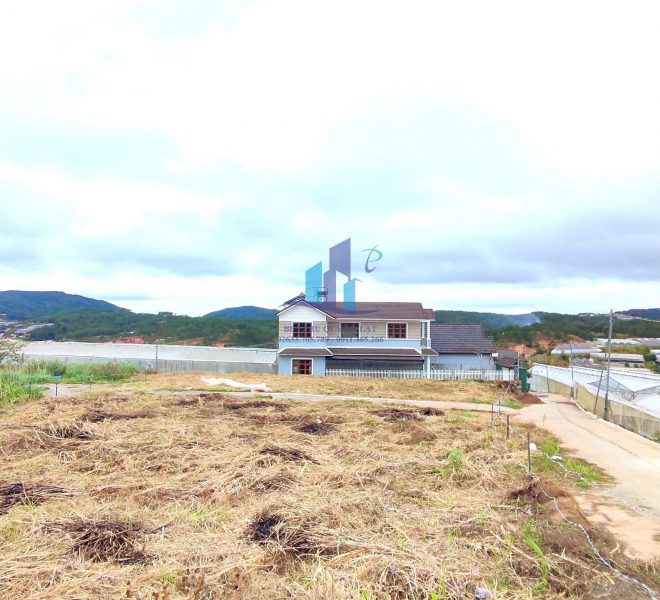 z5002360590867_e612d98f0a3783eb9ddb2d97e5abe36a