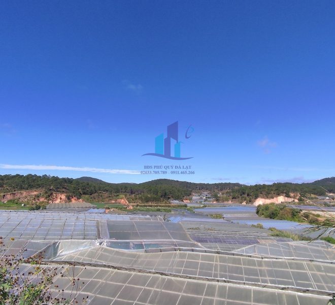 z5008292204341_57660bbd8989bbbd920f85c4c878bb66