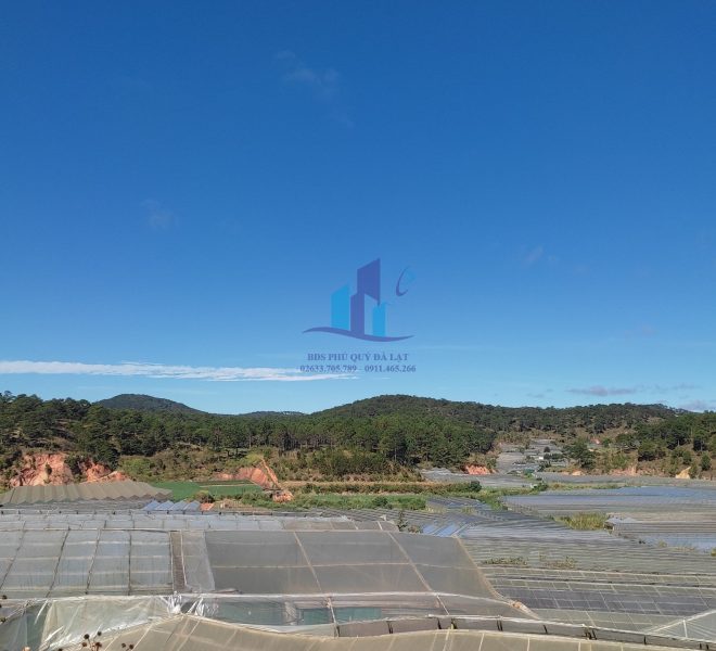 z5008292224123_21e056e036ae7003710269765f07654e