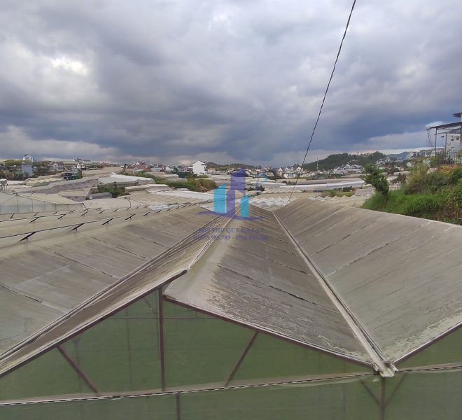 z5024338666598_7155cf3aa00a2c484187832ef26011d8