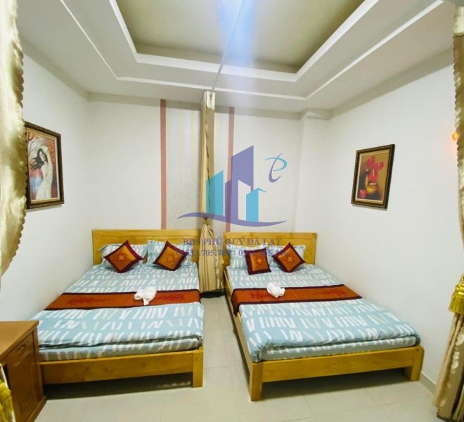 z5036135311112_7c44a179d696ef12bafa071c618b2b39