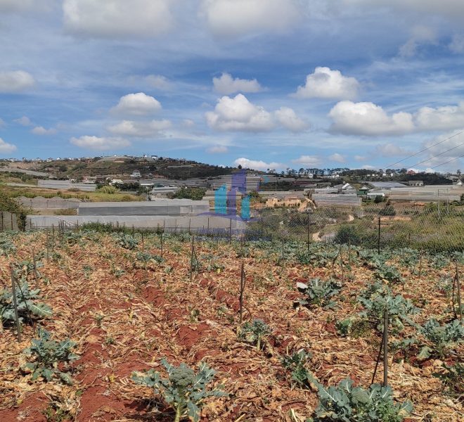 z5051605238616_6b714431c0bb1087acf4b66f402271e4 (1)