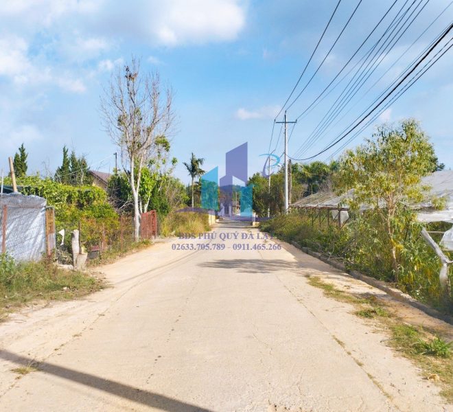 z5058316298095_92376c15218678f48cdf467db4039aeb