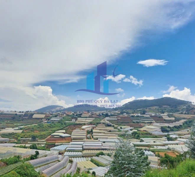 z5061663228172_422a0cdc702de4c4e0263c2182d0f4a3