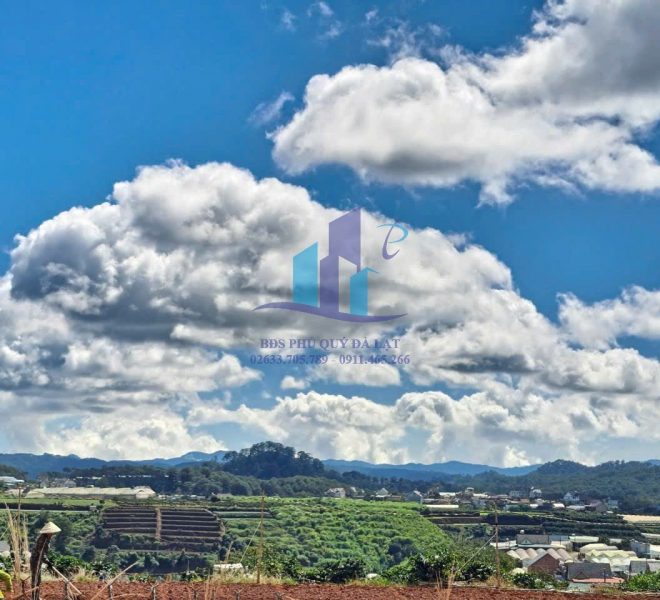 z5061663228173_b6d9bf6597fea3a9bcf22a076c9273cc