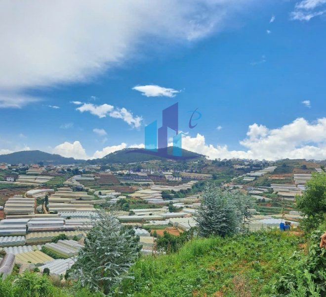 z5061663228175_a21a0499341bea0a948ee48872ff3b2c