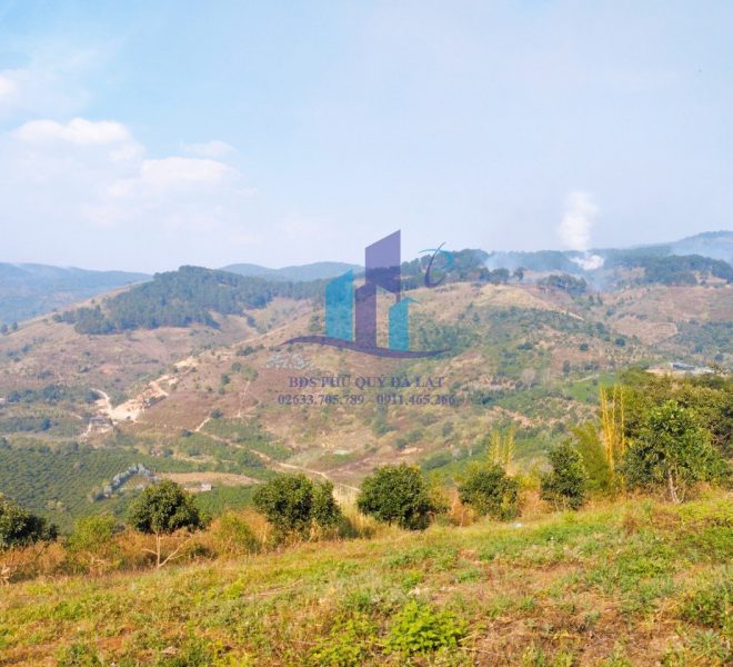 z5067910526074_76b33fe144038fcf82afe95000f0a4c1